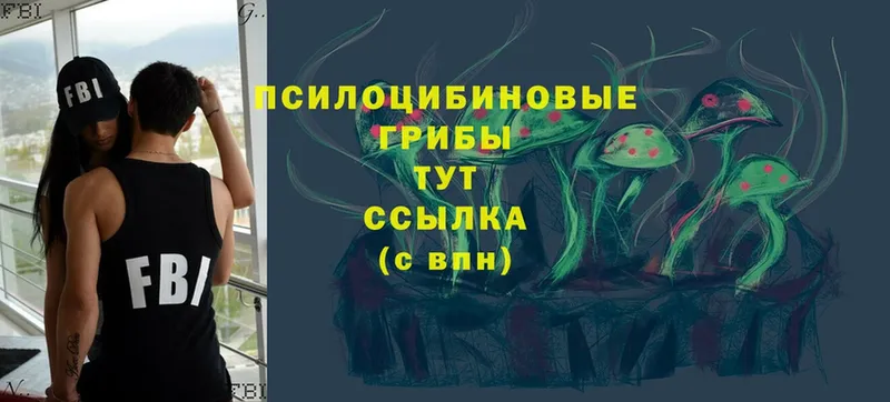 маркетплейс клад  omg ссылка  Псилоцибиновые грибы Psilocybine cubensis  Ртищево  как найти закладки 